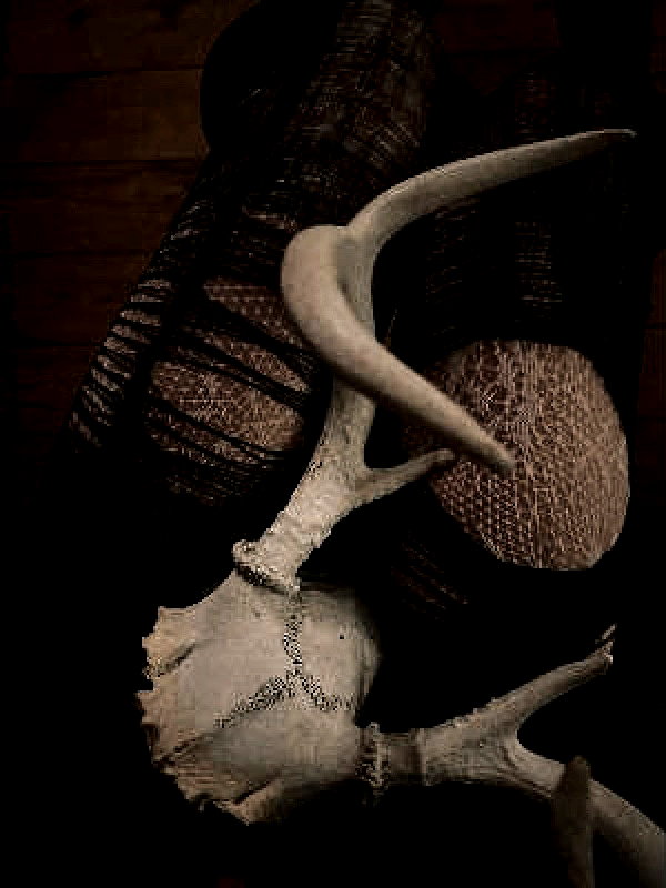 asylome archive image