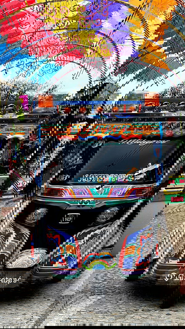 lapatronaz lapatronaz archive image