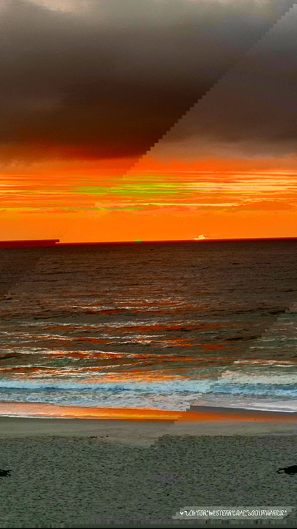 taylor.creeden taylor.creeden archive image