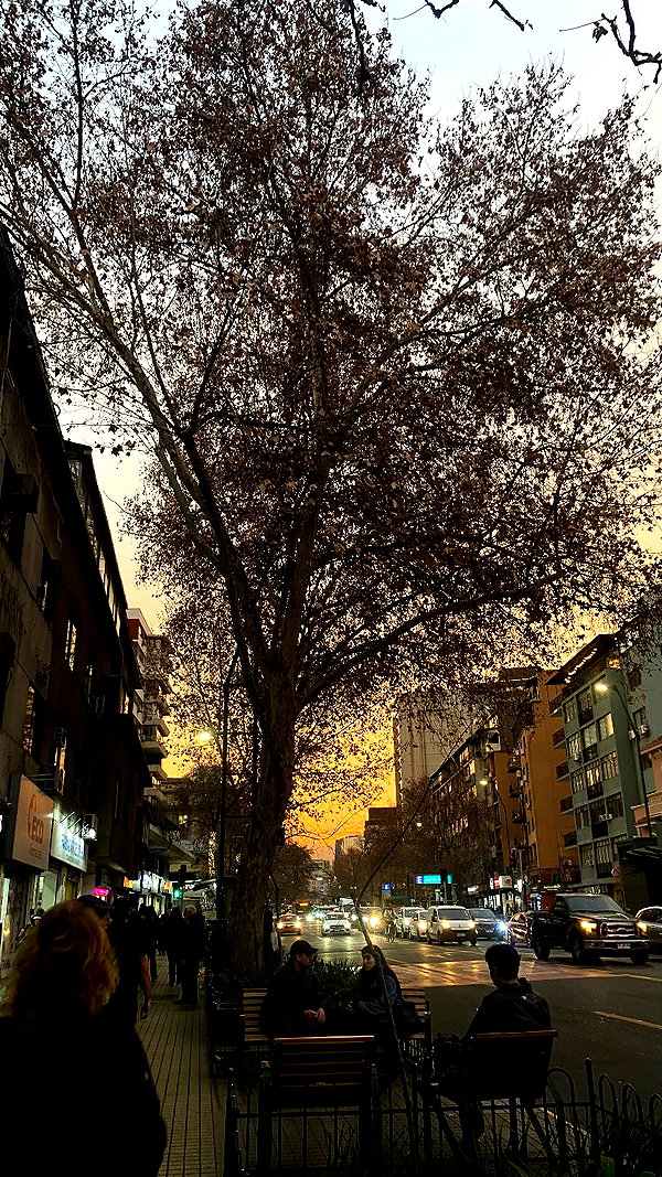 _.luxxia instagram image archive image