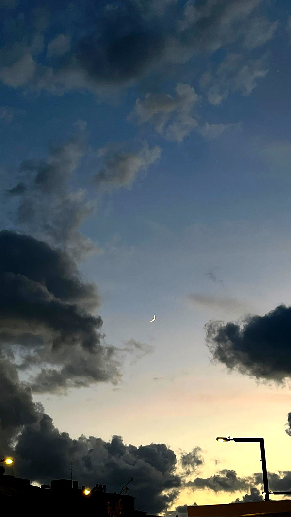 shirelokavi instagram image archive image