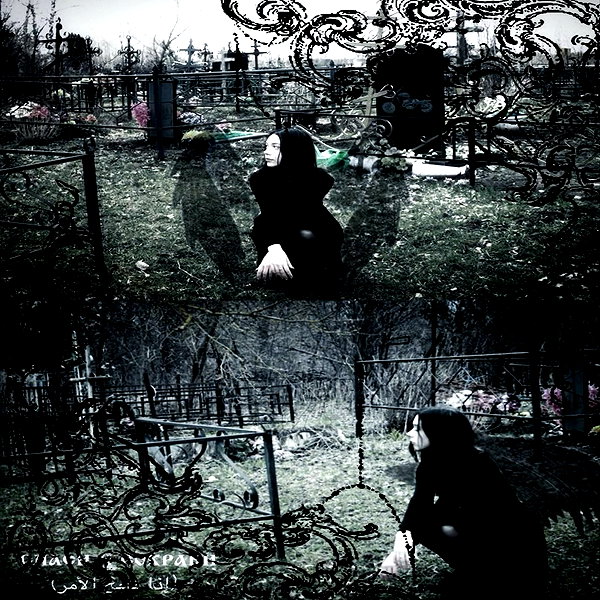 hav_oku instagram image archive image