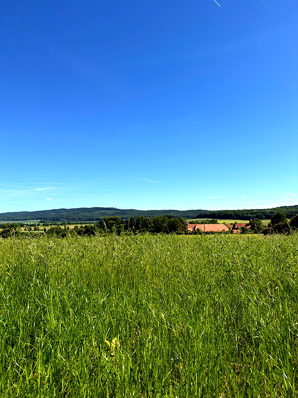 nikoleta.milenova instagram image archive image