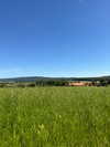 nikoleta.milenova Altpins Profile Picture