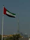 shira_adar_ Altpins Profile Picture