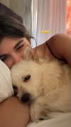 liron_vaitzman Altpins Profile Picture