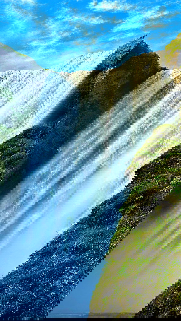 taylor.creeden taylor.creeden archive image