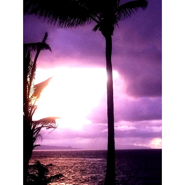 ashleybenson instagram image archive image