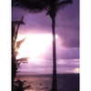 ashleybenson Altpins Profile Picture