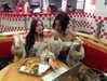 mariagabrielasantos Altpins Profile Picture