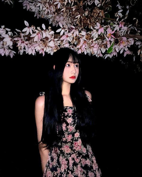 lai_931201 instagram image archive image