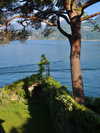 elizabethcampbelljones Altpins Profile Picture