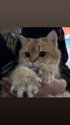 marilyn_damaged Altpins Profile Picture