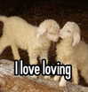 theonlygirlintheworld.xoxo Altpins Profile Picture