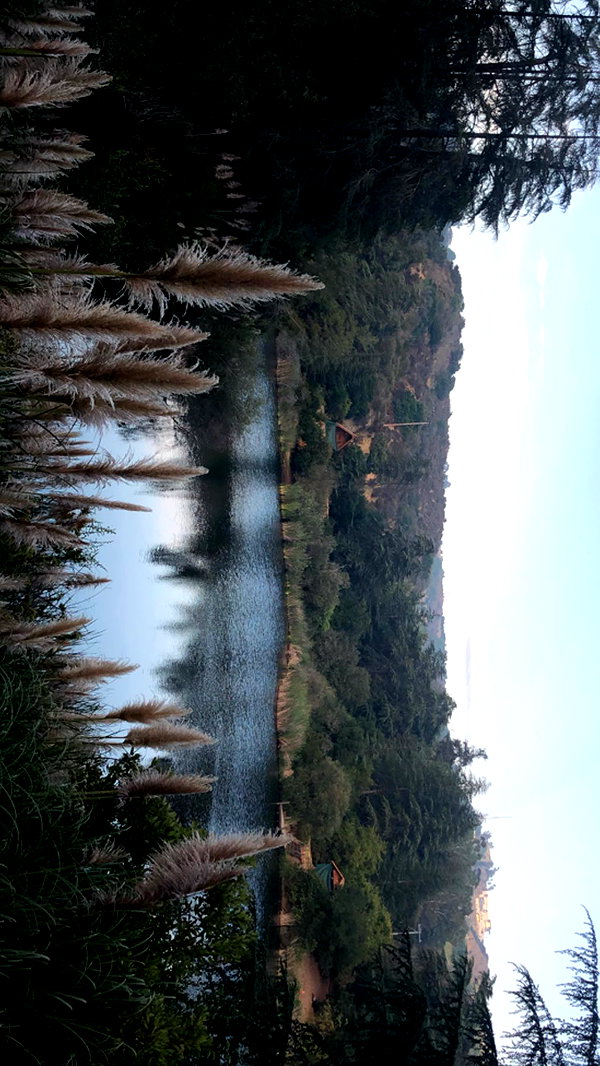 sof.alo instagram image archive image