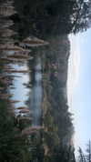 sof.alo Altpins Profile Picture