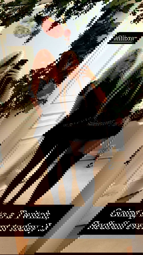 silkton image ~ Altpins