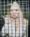 xtina Altpins Profile Picture