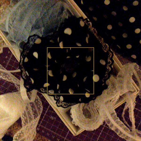 thekallinan instagram image archive image