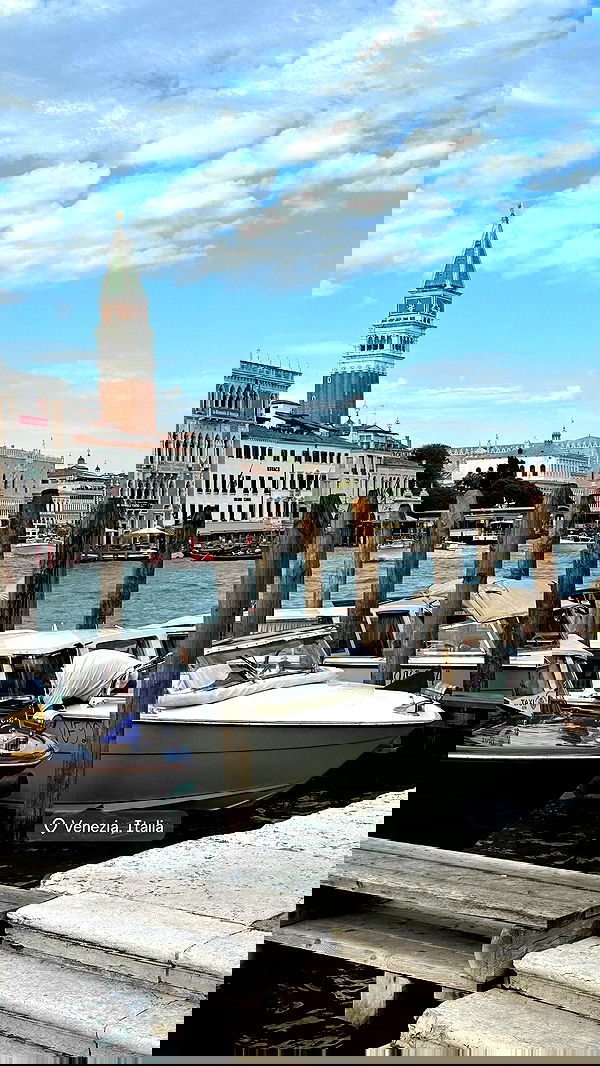 taylor.creeden taylor.creeden archive image