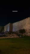 liron_vaitzman Altpins Profile Picture