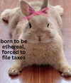 ellaexplicit_ Altpins Profile Picture