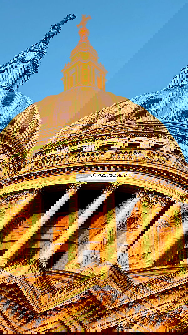 taylor.creeden taylor.creeden archive image