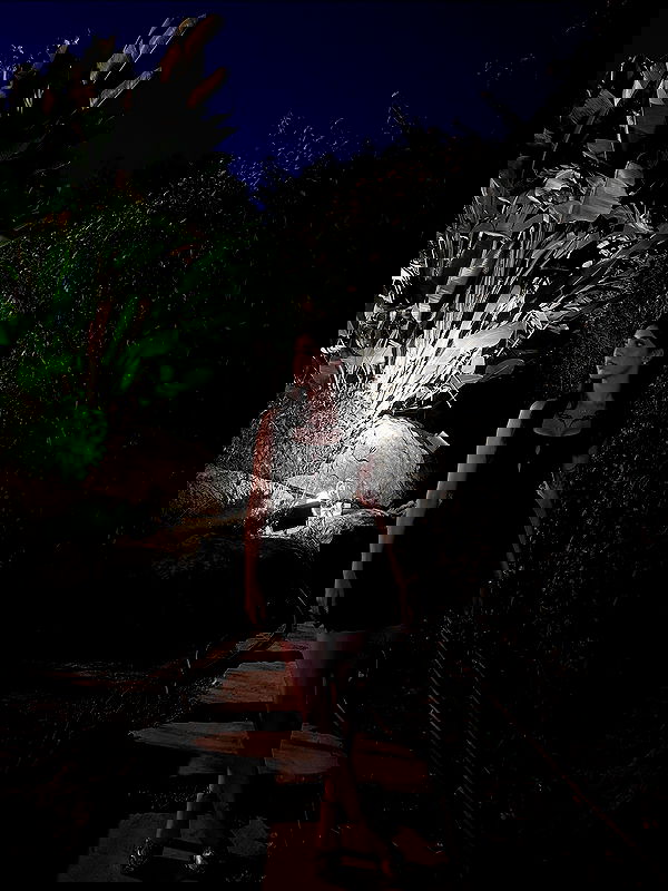 noa_marii noa_marii archive image