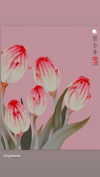 babynympho_archive Altpins Profile Picture