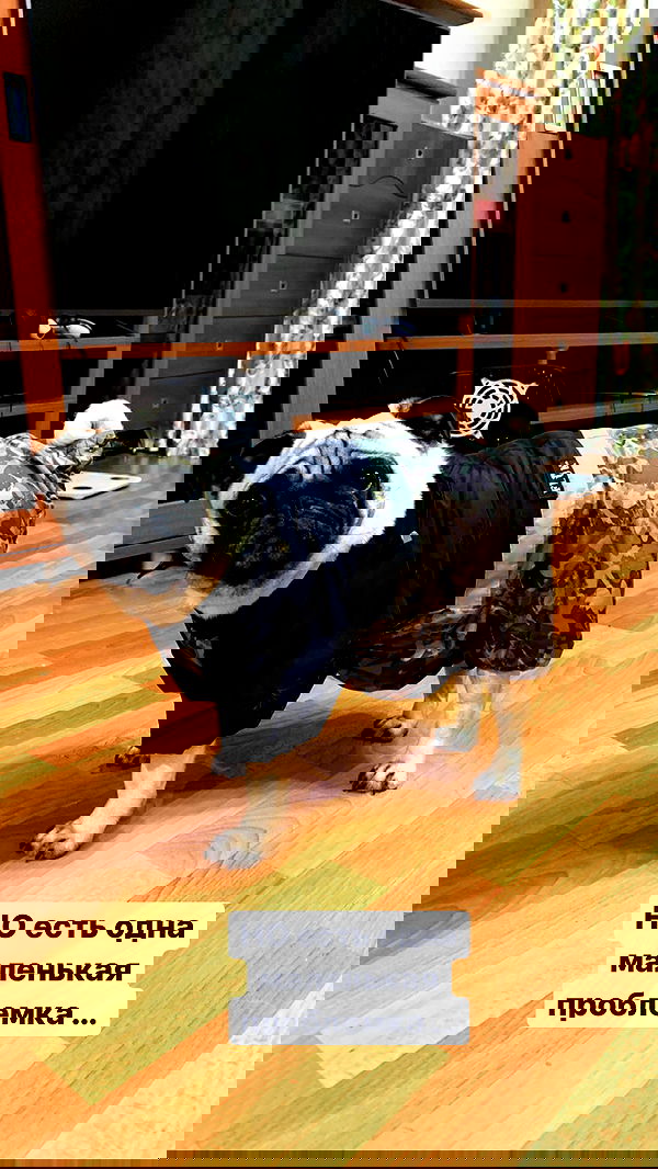 nyityam nyityam archive image