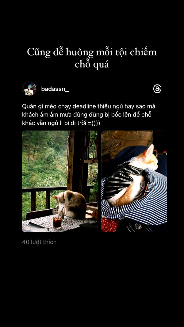 Archived image from @badassn_ on Instagram