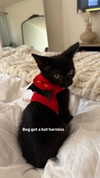 gabbyepstein Altpins Profile Picture