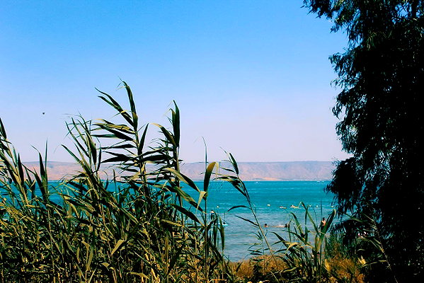 rei.sigalov instagram image archive image