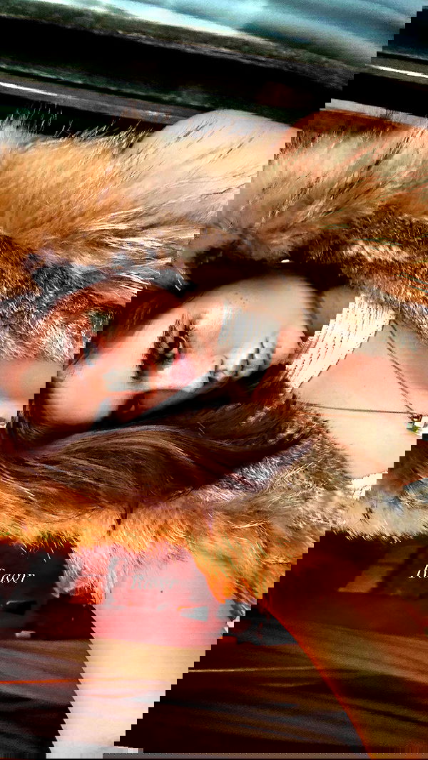 taylor.creeden taylor.creeden archive image