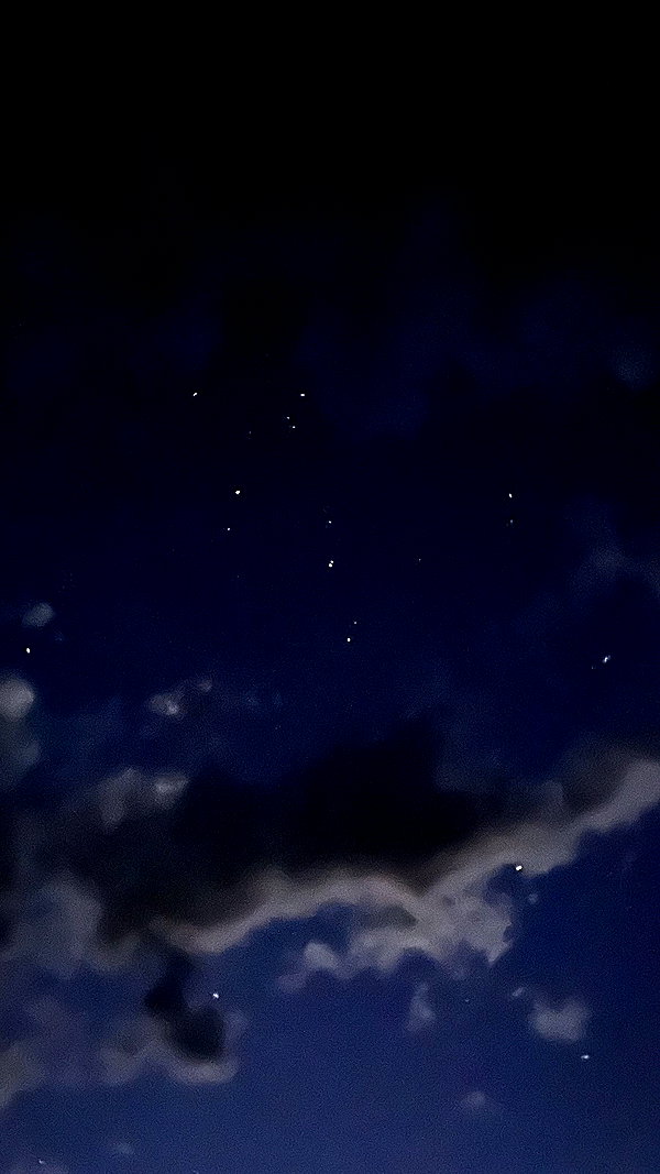 8.08.315 instagram image archive image
