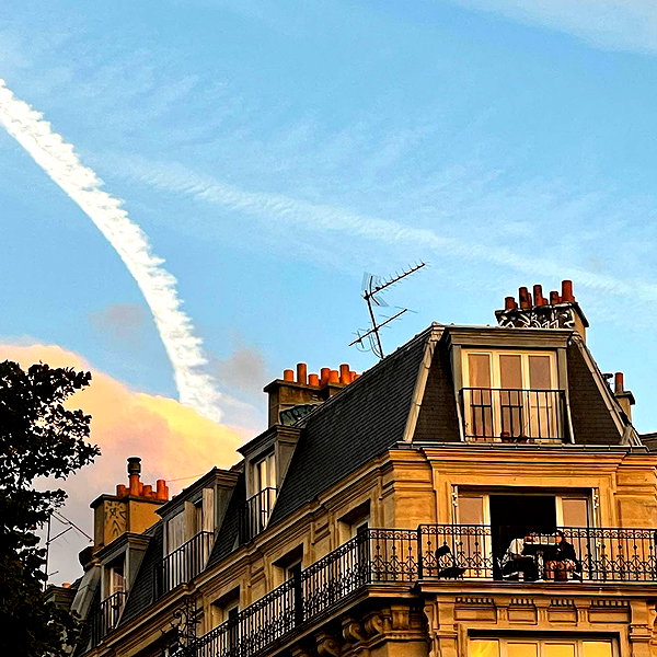 sydneygottlieb instagram image archive image