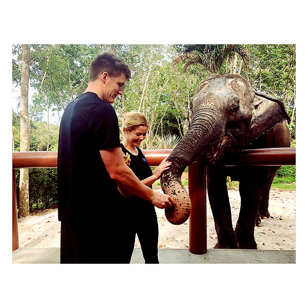 sashapieterse instagram image archive image