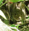 taratornquist Altpins Profile Picture