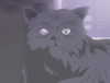 basakerrrrr Altpins Profile Picture