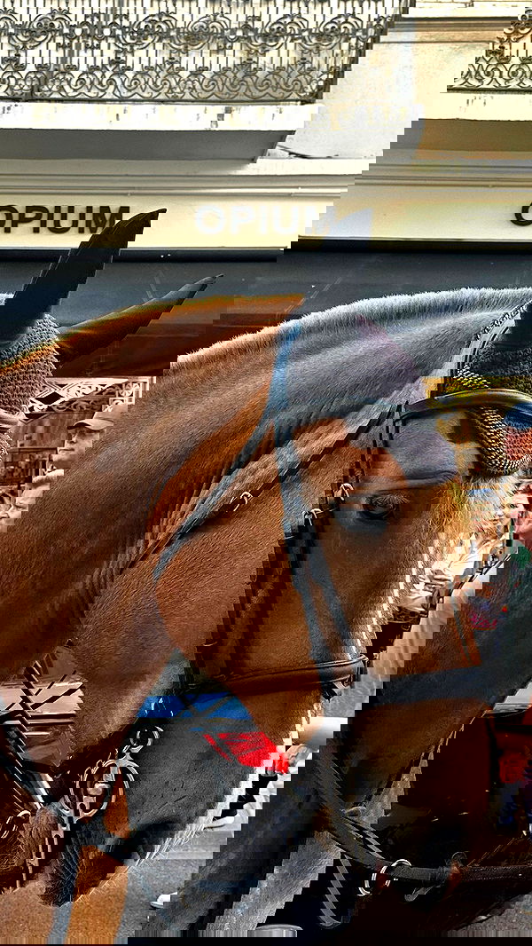 taylor.creeden taylor.creeden archive image