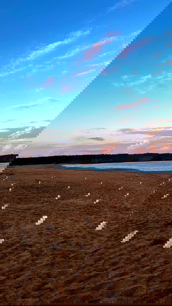 taylor.creeden taylor.creeden archive image