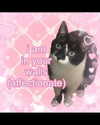 milkiwifey Altpins Profile Picture