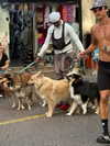 alma_ck_ Altpins Profile Picture