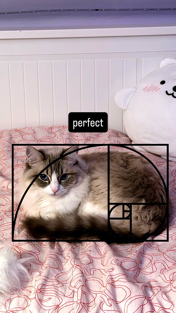 catl0verr69 instagram image archive image