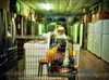 bugz4brainz Altpins Profile Picture