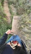dante_yangpa Altpins Profile Picture