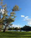 solzarubin_ Altpins Profile Picture