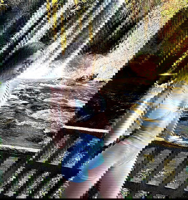 pinx_ir pinx_ir archive image