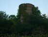 m1lkh8club Altpins Profile Picture