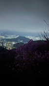 elsgatti Altpins Profile Picture